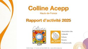 Rapport Activité 2025 COLLINE ACEPP