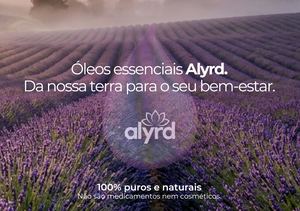 Alyrd Revista 135x95 12pag Paginado