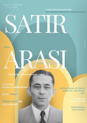 SATIR ARASI SAYI - 3