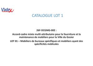 Catalogue Vadex Lot1 Gosier