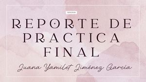 Reporte De Practica Final