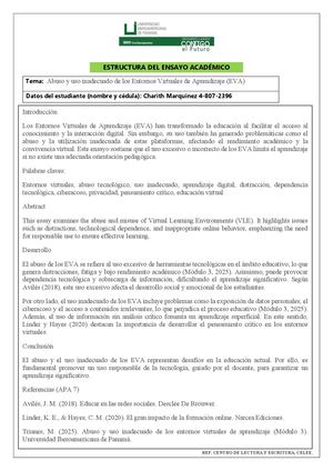 Ensayo Academico sobre Abuso y Uso Inadecuado de los EVA de Charith Marquinez