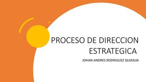 Proceso De Direccion Estrategica