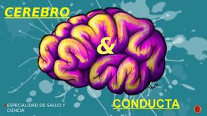 Cerebro Y Conducta Gm