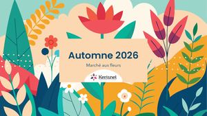 Dynamique automne MAF
