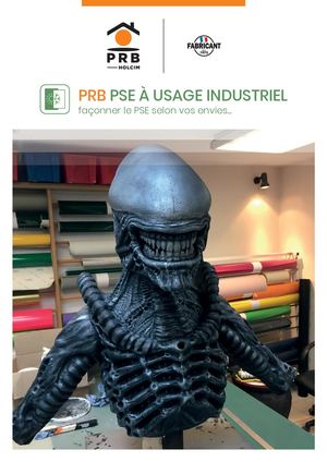 Brochure Pse Industriel