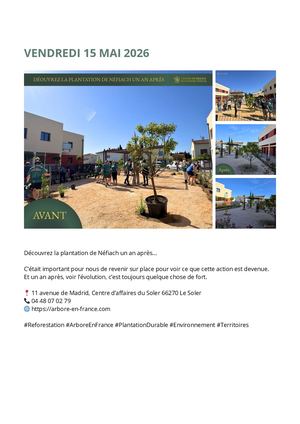 Pdc Arbore En France Mai 2026