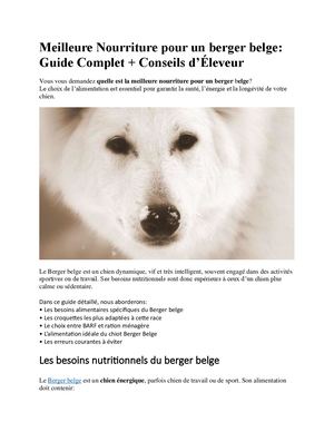 Meilleure Nourriture Pour Un Berger Belge Guide Complet + Conseils D’éleveur