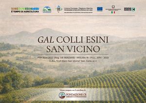 Report Attività Gal Cesv Psl 2014 2022