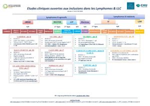CHUTOULOUSE/OCR_Lymphome_LLC_04/2026