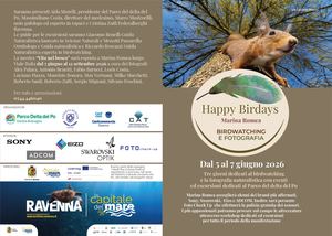 PIEGHEVOLE HAPPY BIRDAYS