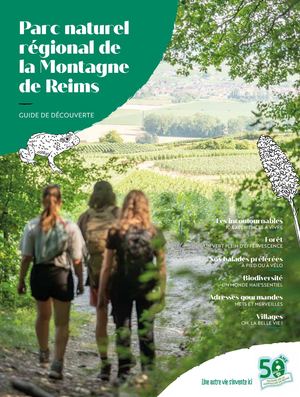 guide découverte