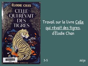 Julila présente « Celle qui rêvait des tigres » de Elodie Chan