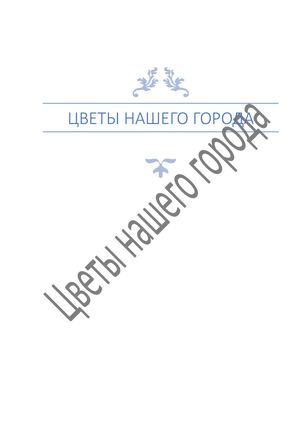 Цветы нашего города