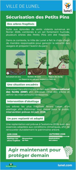 Panneaux 80x180 Petits Pins