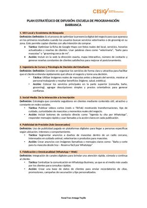 Plan Estratégico Web De Difusión Masco Shop