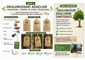 Okulumuzdaki Ağaçlar