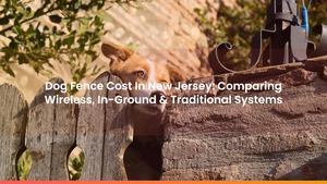 Dog Fence Cost In New Jersey: Comparing Wireless, In-Ground & Traditional Systems