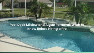 Pool Deck Mildew and Algae Removal: What to Know Before Hiring a Pro