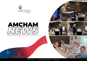 Am Cham News 80
