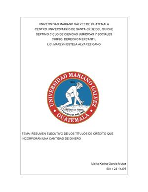 resumen ejecutivo
