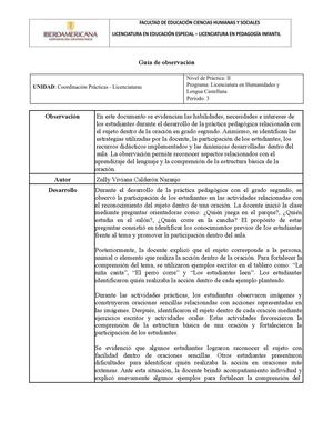 Guía De Observación El Sujeto