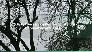 Quality Tree Service Warren NJ | 4 Signs of Comprehensive Tree Care