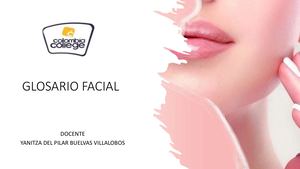 Glosario Facial