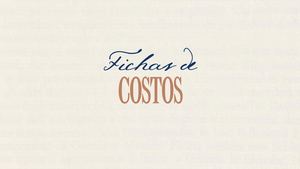 Ficha De Costos