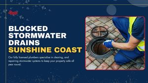 Experts Blocked Stormwater Drains Sunshine Coast