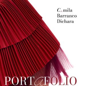Portafolio Camila 2