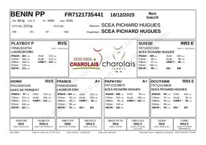 Fiche Catalogue Veaux 2026