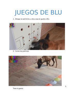 Juegos para tu perrro
