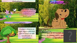 Interdependencia En Los Ecosistemas