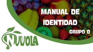 Manual De Identidad