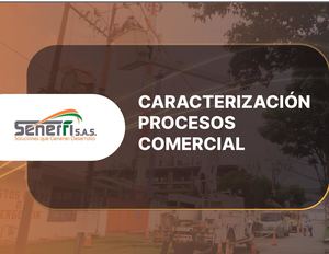 Caracterización comercial