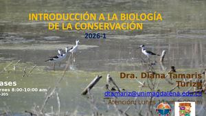 Feb2026 Experiencia En Class