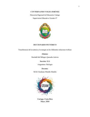 Diccionario Pictorico Reichell Quesada 12 1
