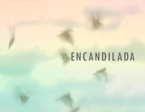 SERIE ENCANDILADA