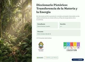 Diccionario Pictorico Transferencia De La Materia Y La Energia (1)