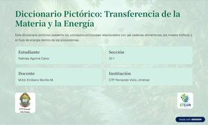 Diccionario Pictorico Transferencia De La Materia Y La Energia