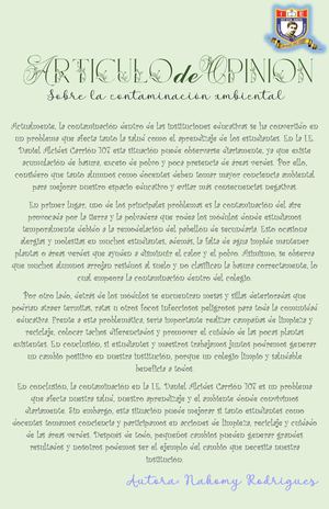 Articulo De Opinion