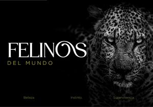 Revista Felinos Compressed (1)