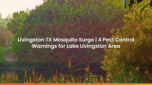Livingston TX Mosquito Surge | 4 Pest Control Warnings for Lake Livingston Area