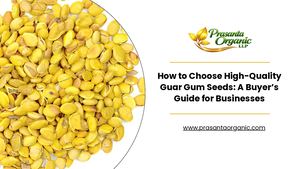How To Choose High Quality Guar Gum Seeds A Buyer’s Guide For Businesses