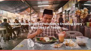 Hidden Microplastics Pollution Is Entering Every Meal We Eat Today