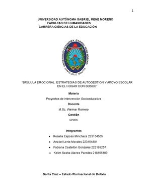 Informe Proyectos 111