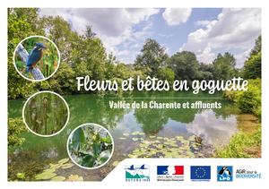 Fleursetbetesengoguette