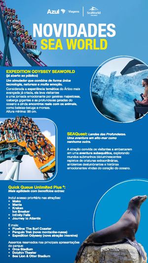 Lâmina Novidades Pdf