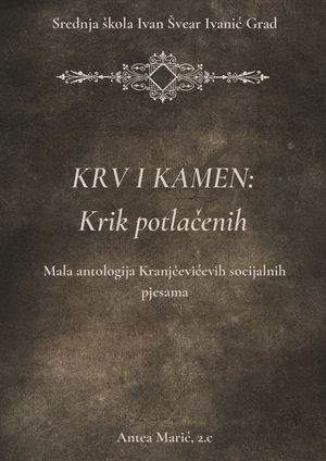 Krv I Kamen Krik Potlačenih (2)